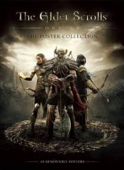 خرید بازی اورجینال The Elder Scrolls Online برای PC